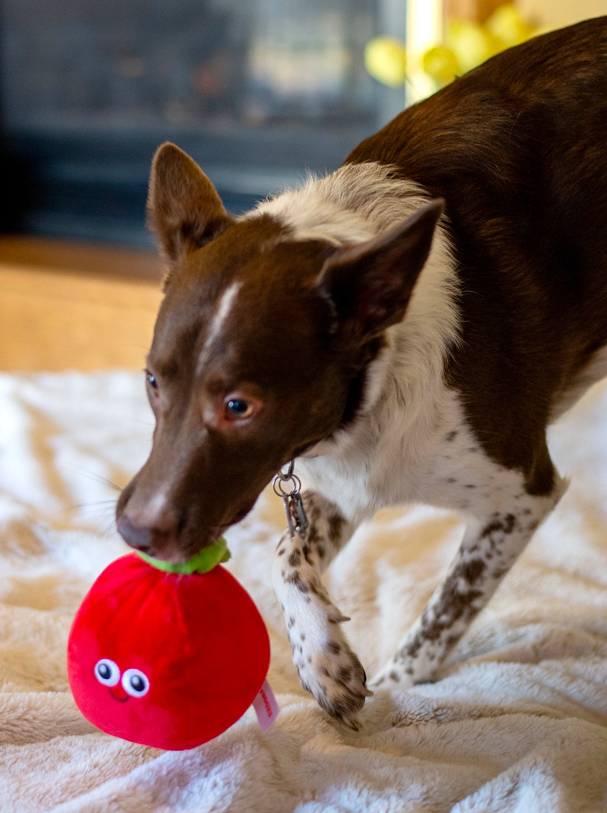 ThoozyPet Tomato Plush Dog Toy 5.5"