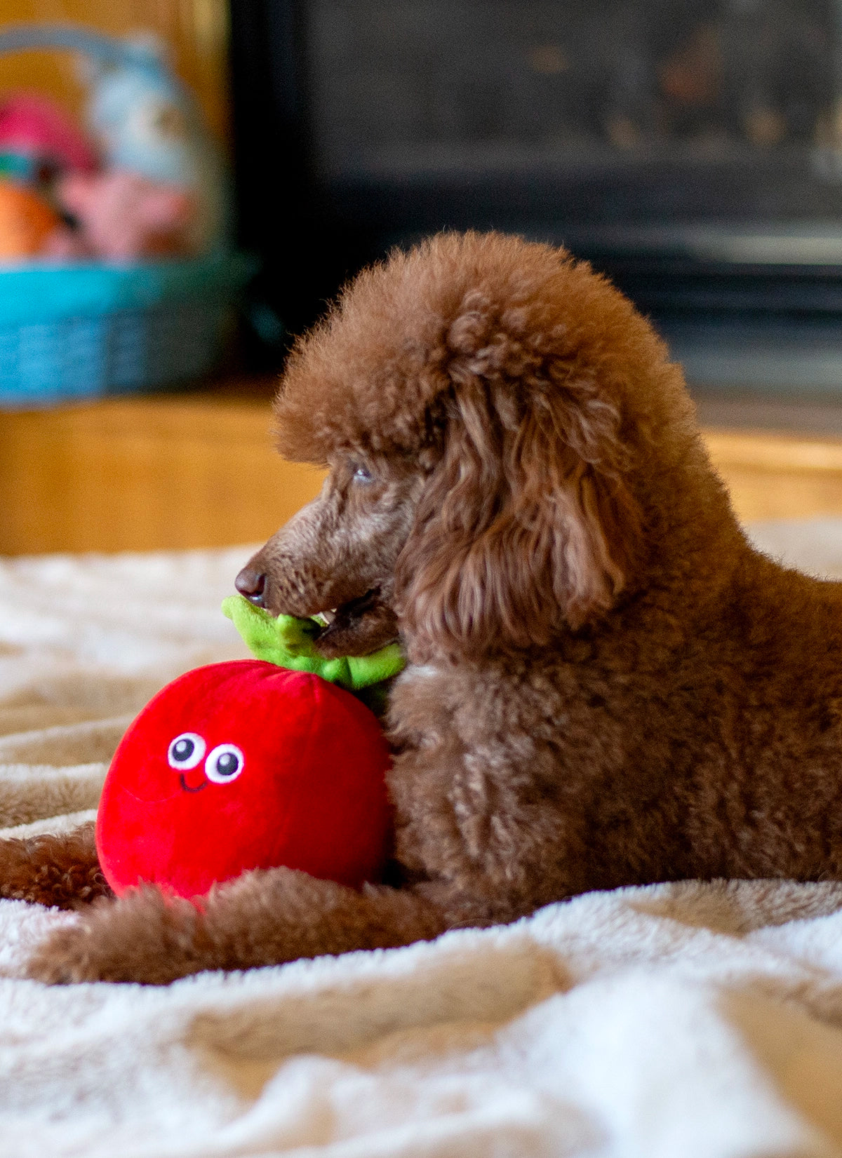 ThoozyPet Tomato Plush Dog Toy 5.5"