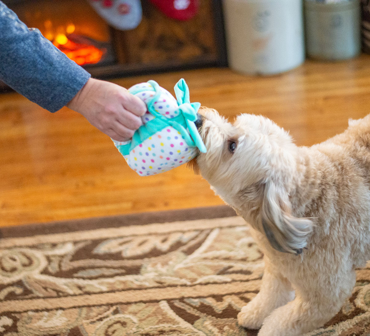 ThoozyPet Birthday Gift Plush Dog Toy 6"