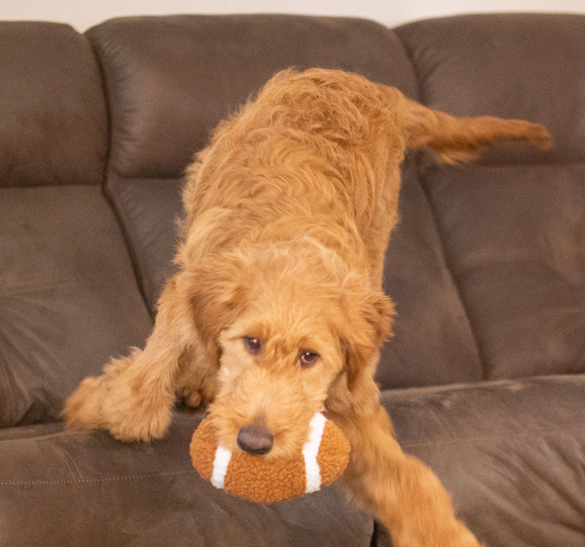 ThoozyPet Football Plush Dog Toy 6.5"