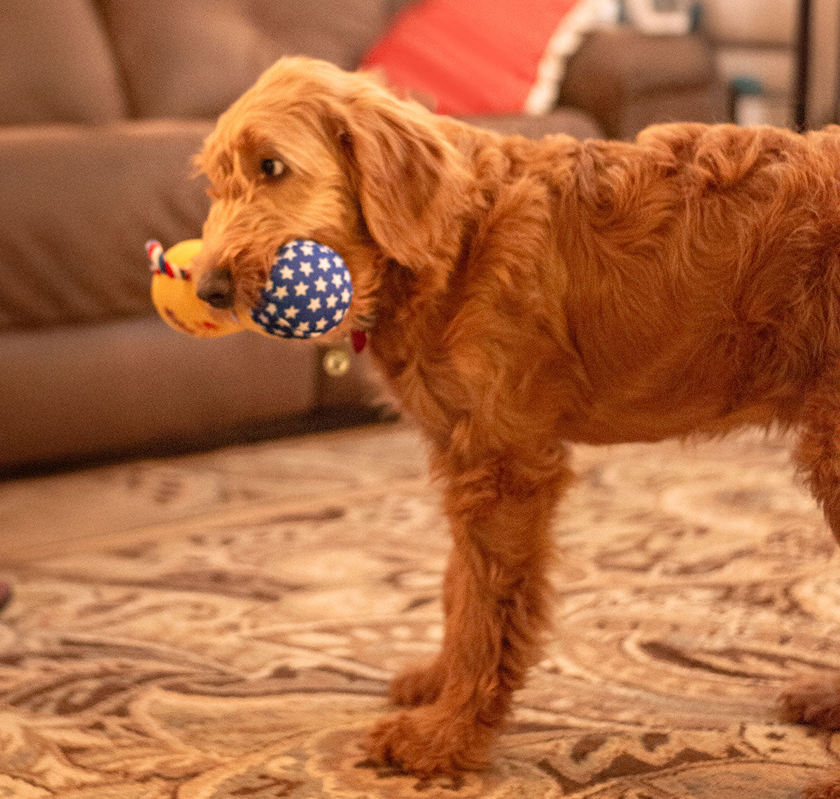 ThoozyPet #1 PUP Trophy Plush Dog Toy 9"