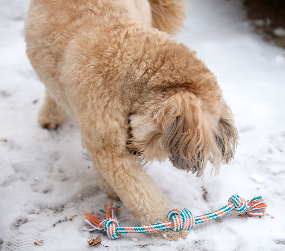 ThoozyPet 3-Knot Rope Dog Toy Orange / Teal 16"