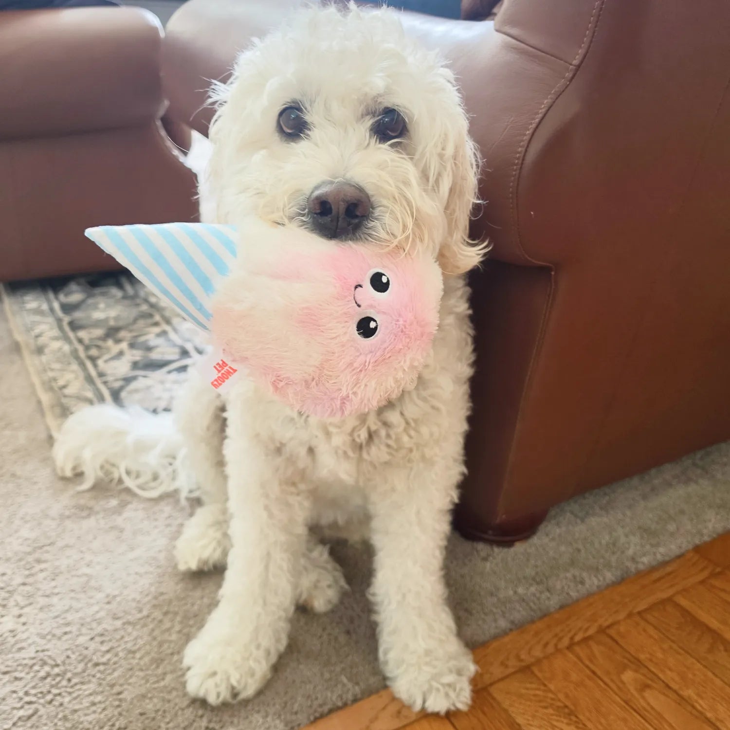ThoozyPet Cotton Candy Plush Dog Toy