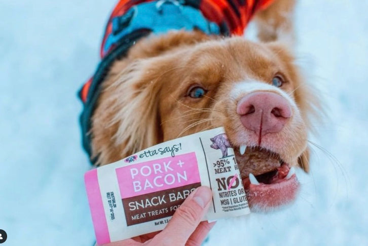 Etta Says! Meat Snack Bar Pork + Bacon Dog Chew 1.5oz (Case of 12)