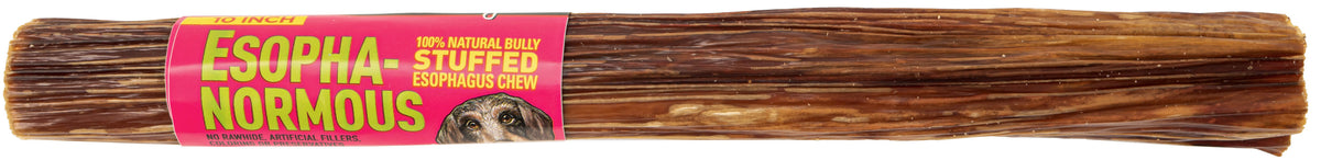 Etta Says! Esopha-normous Bully Stuffed Esophagus Chew 10in 18ct
