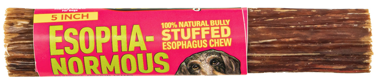 Etta Says! Esopha-normous Bully Stuffed Esophagus Chew Indiv. 5"