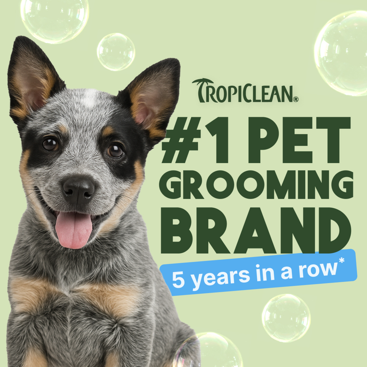 TropiClean Gentle Coconut Hypoallergenic Puppy & Kitten Shampoo, 1 gal