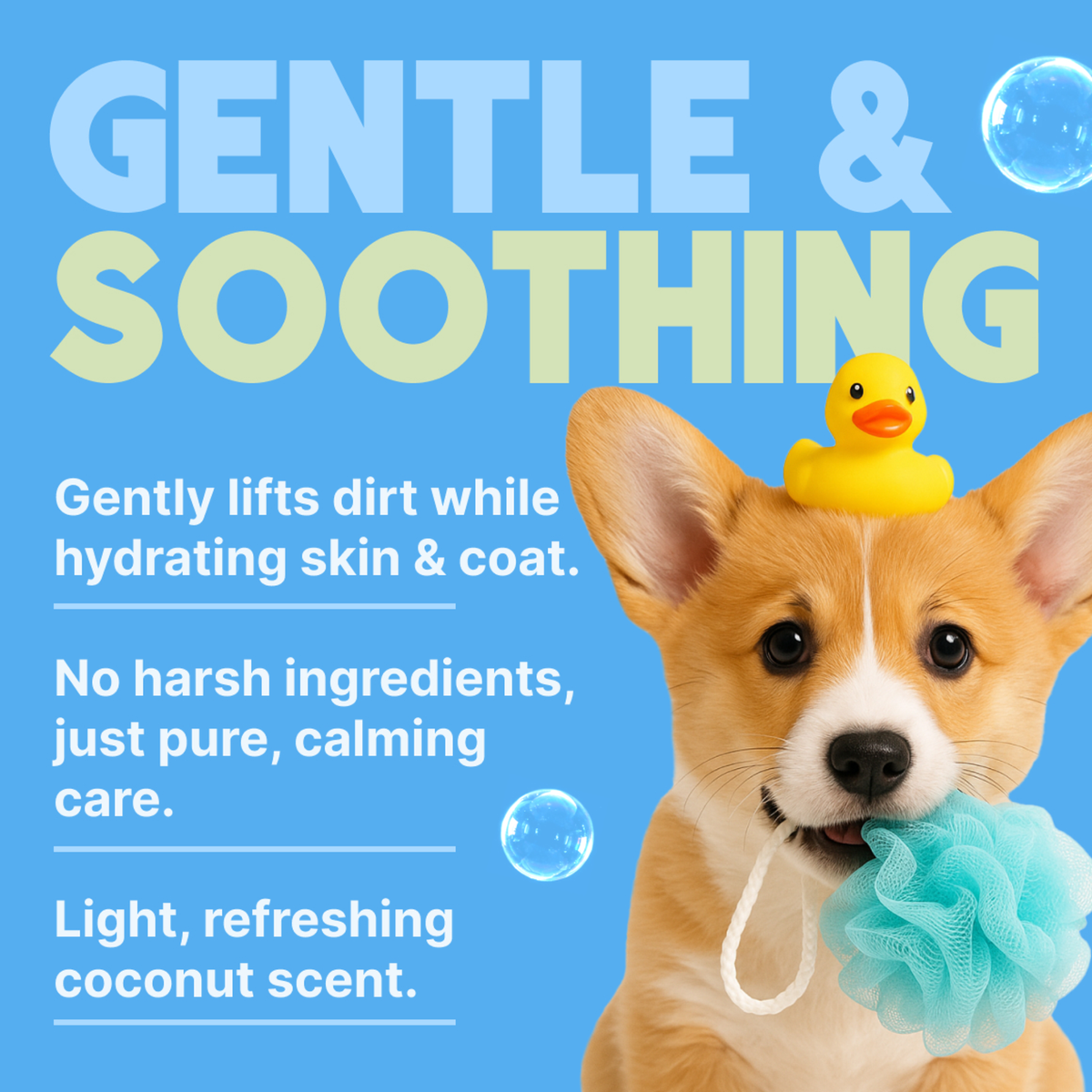 TropiClean Gentle Coconut Hypoallergenic Puppy & Kitten Shampoo, 1 gal