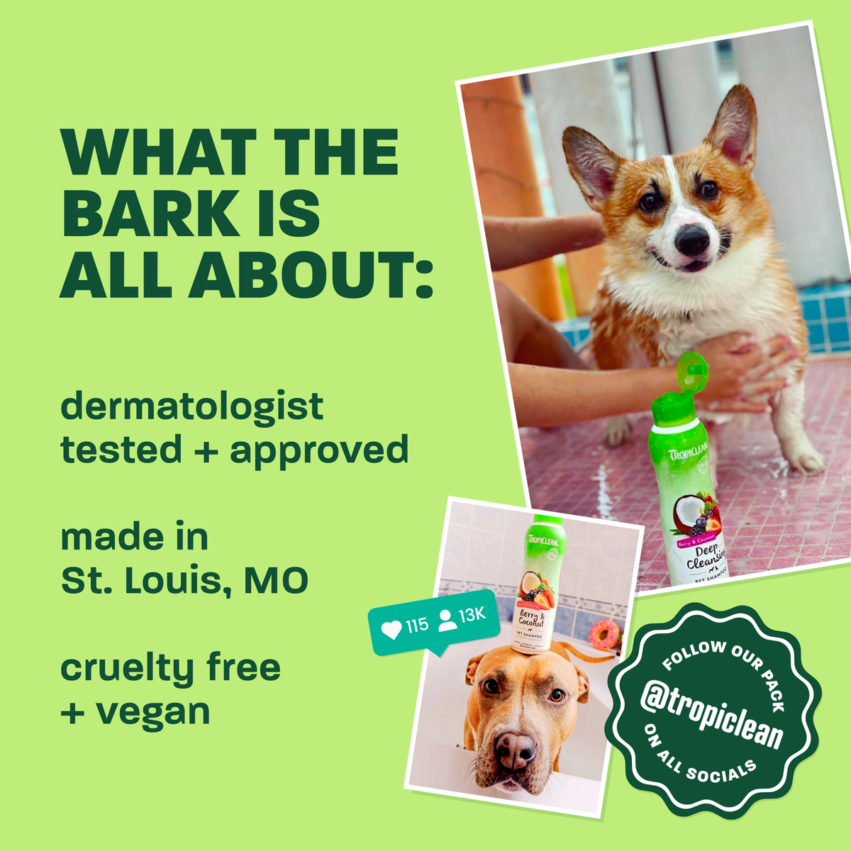 TropiClean Oatmeal + Tea Tree Medicated Itch Pet Shampoo, 20oz