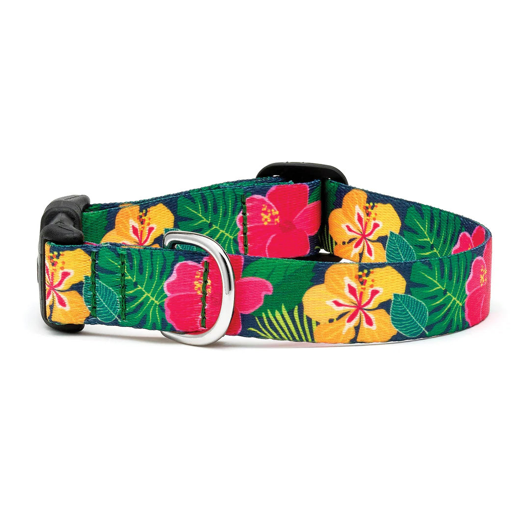 Up Country Sport Hibiscus Collar LG Wide