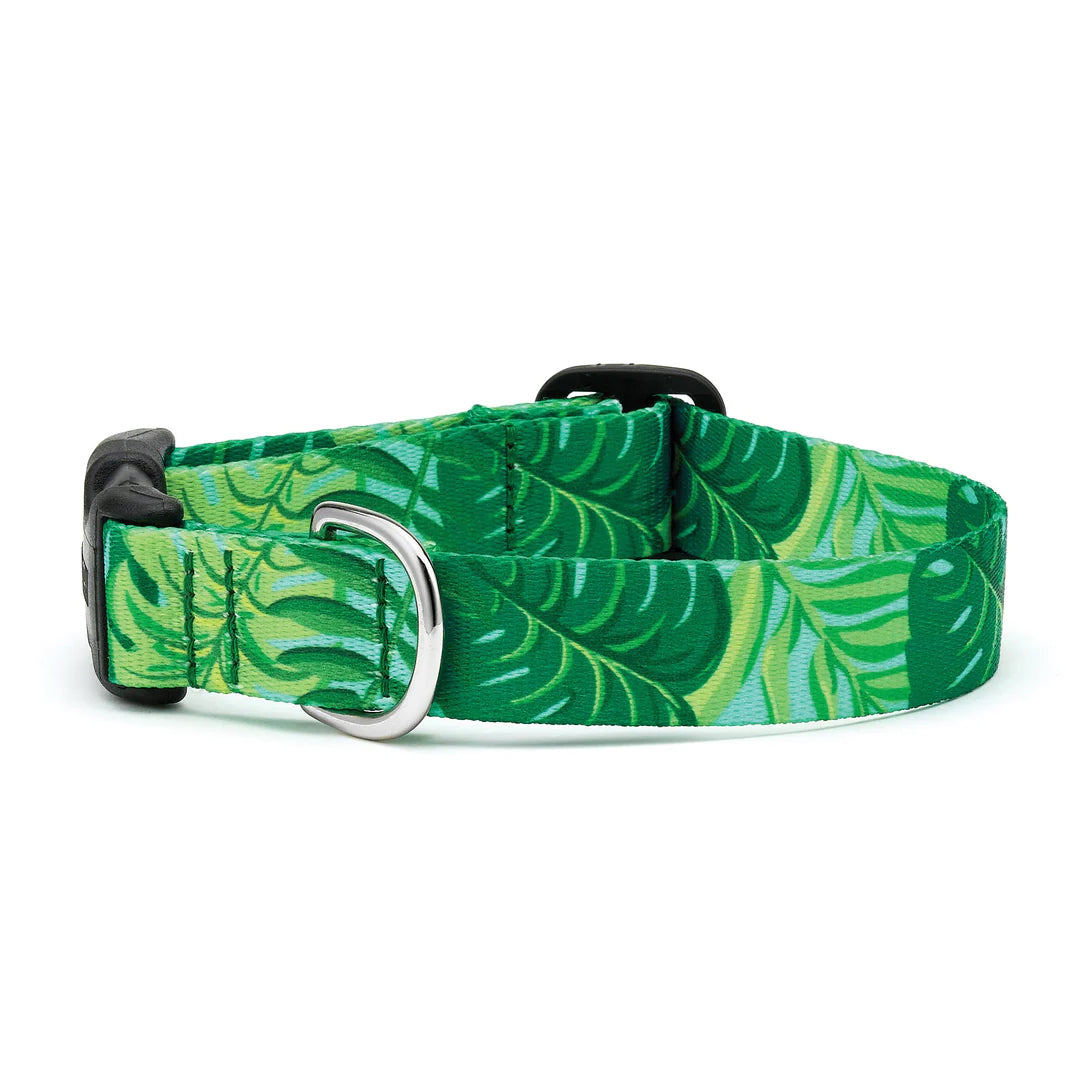 Up Country Sport Palms Collar LG Wide