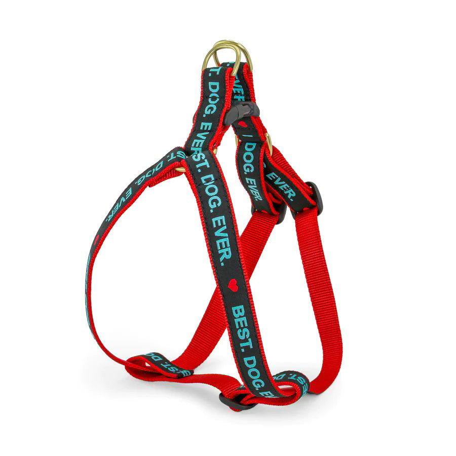 Up Country Best.Dog.Ever Harness Medium Narrow