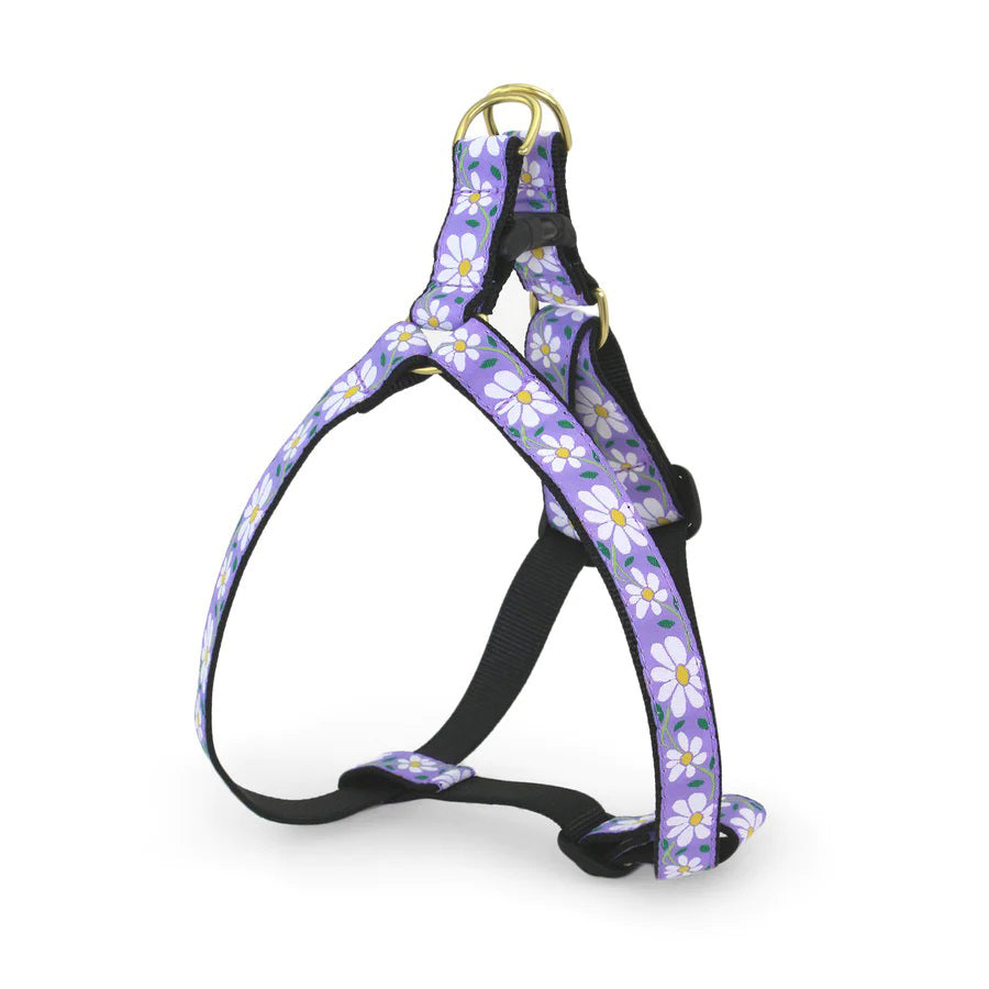 Up Country Daisy Harness XS