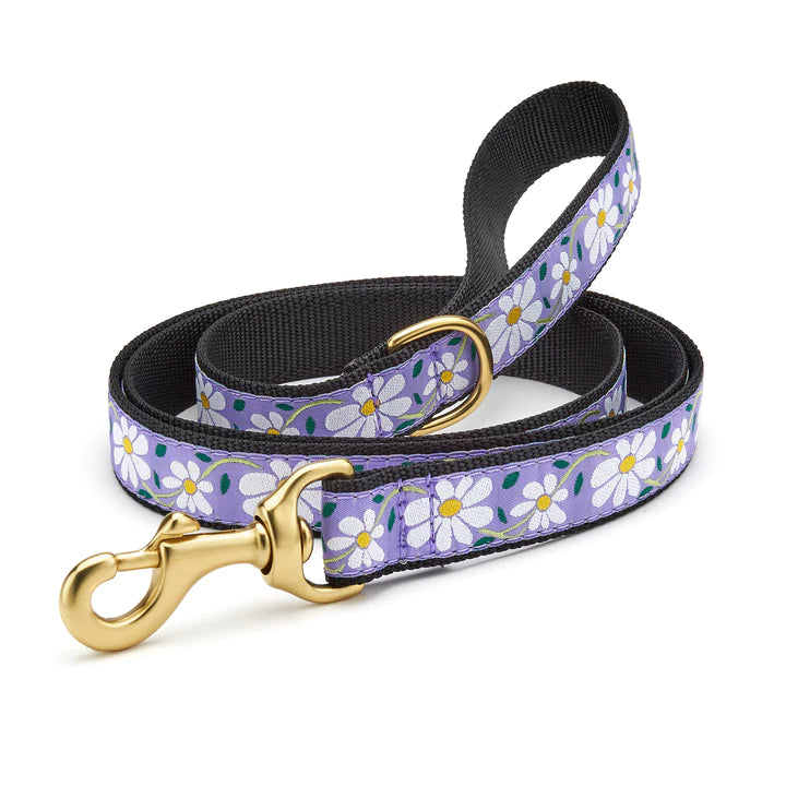 Up Country 5' Narrow Daisy Lead