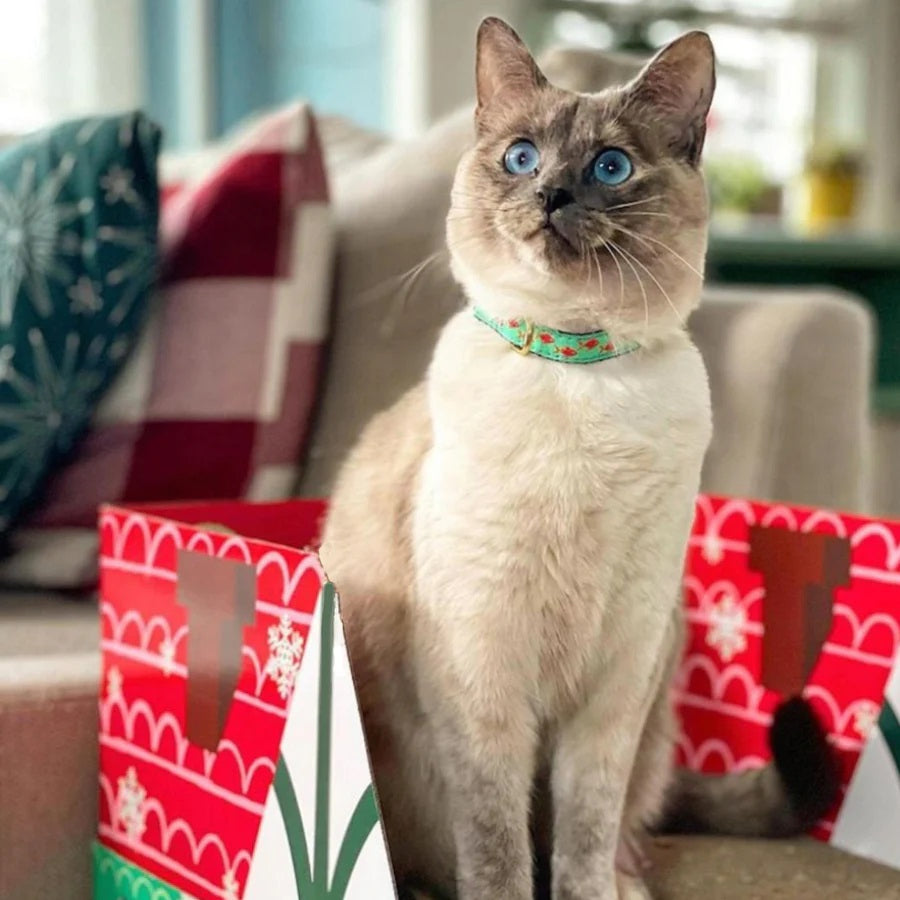 Up Country Tropical Fish Cat Collar