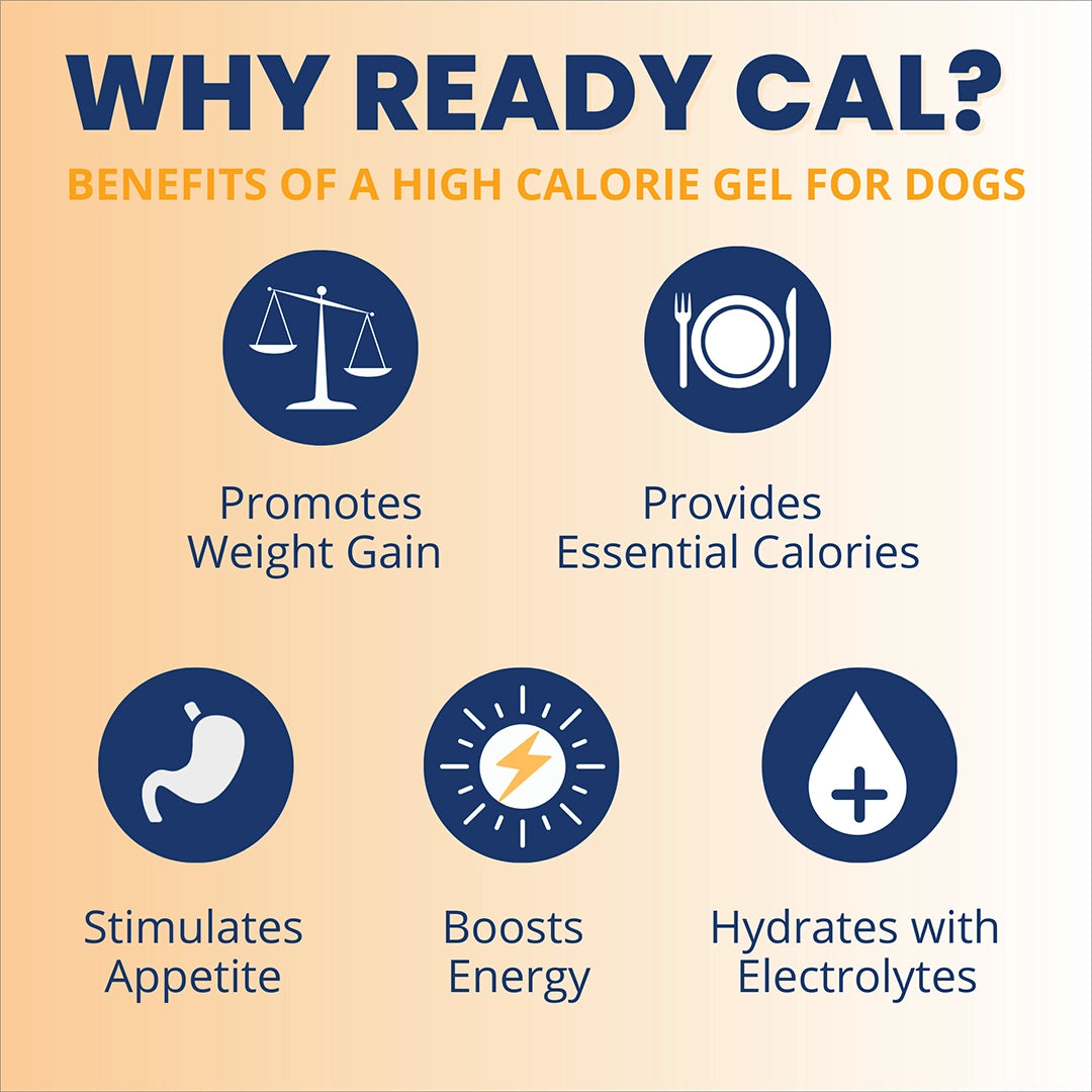 Under the Weather Ready Cal Plus w Electrolytes Squeezable for Dogs 3.5oz
