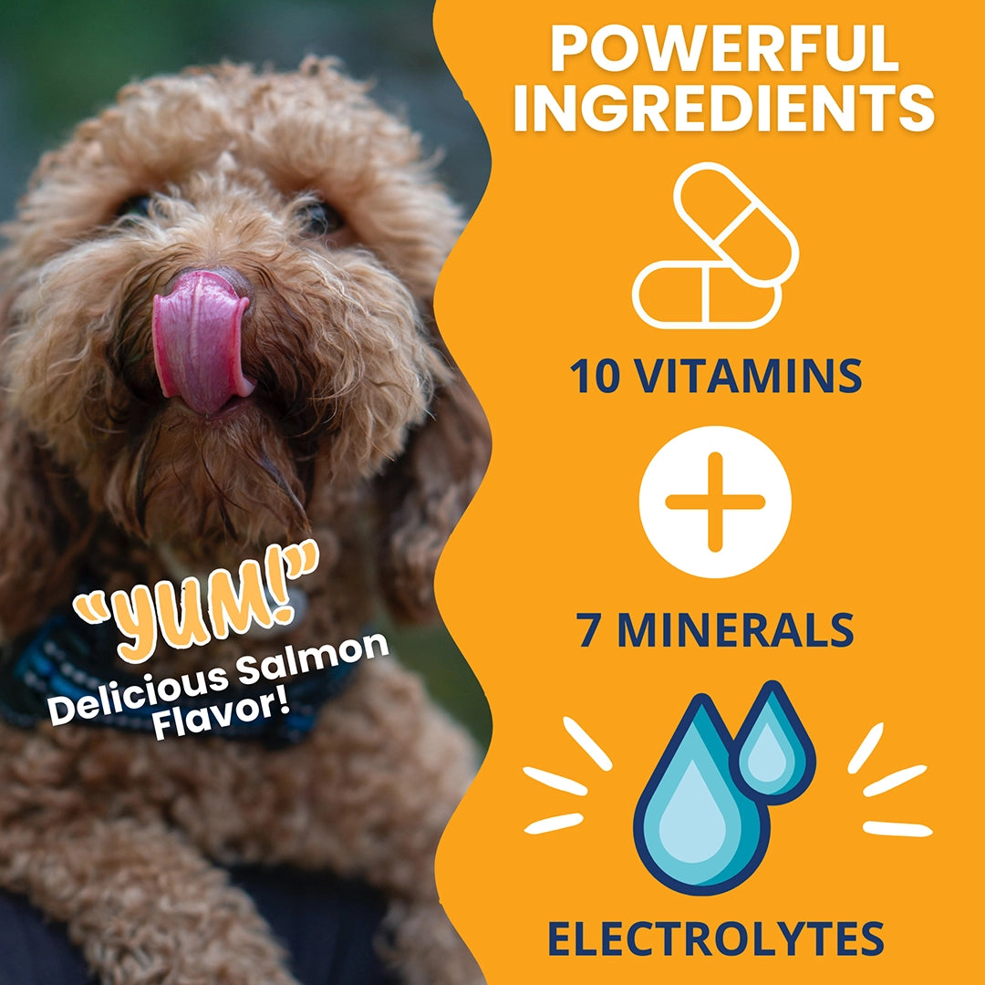 Under the Weather Ready Cal Plus w Electrolytes Squeezable for Dogs 3.5oz