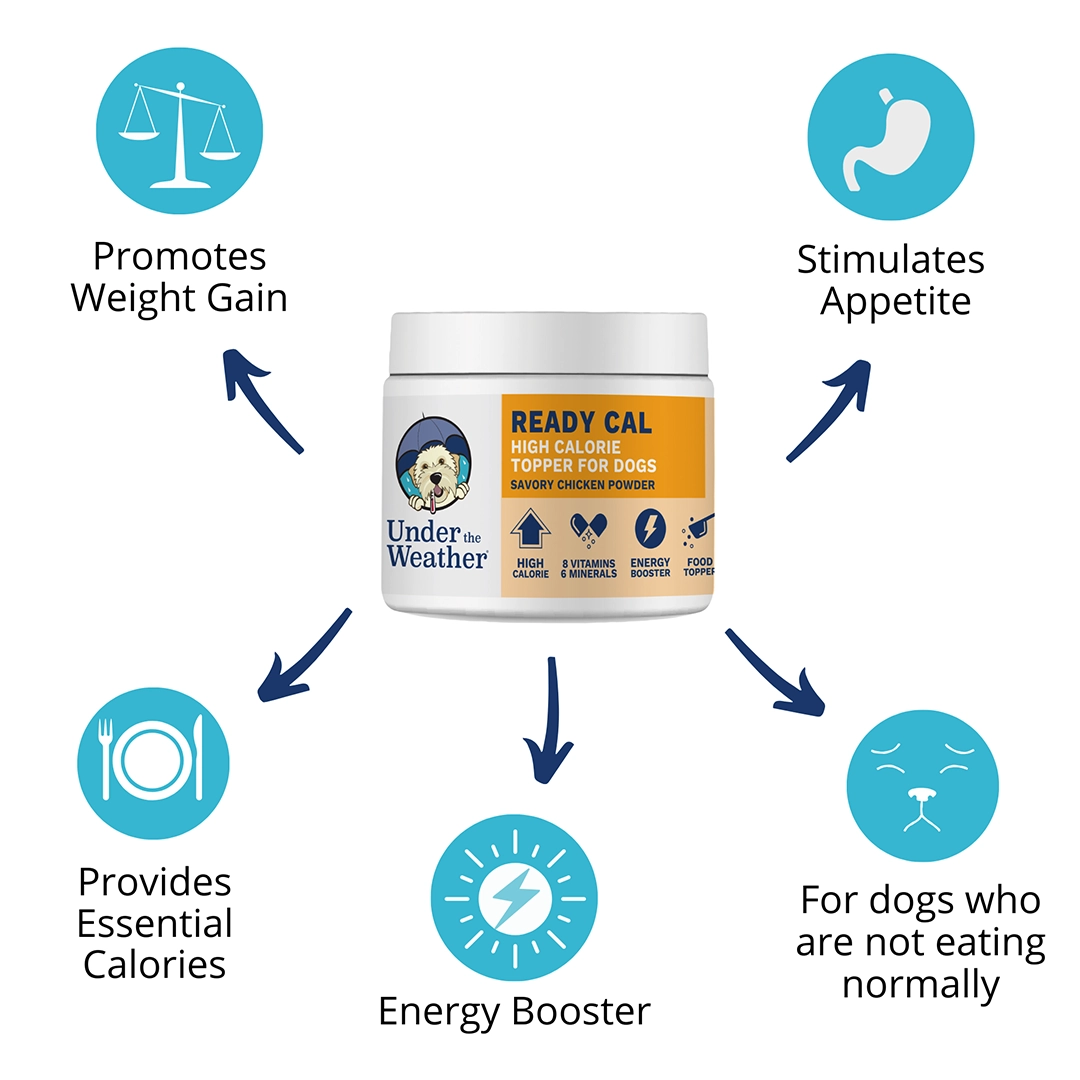 Under the Weather High Calorie Powder for Dogs 10.58oz