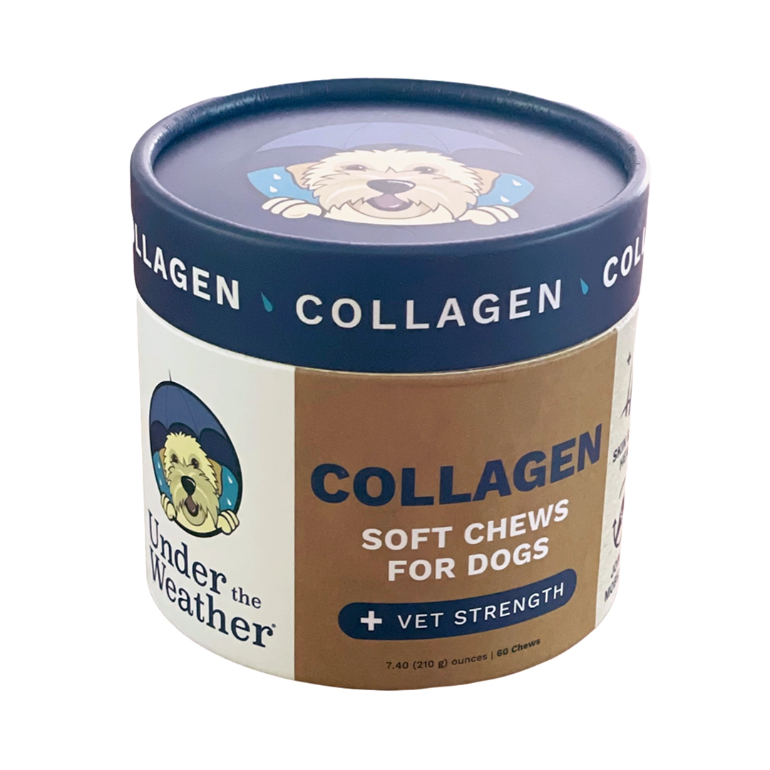 Under the Weather Collagen Soft Chew for Dogs 3.5oz