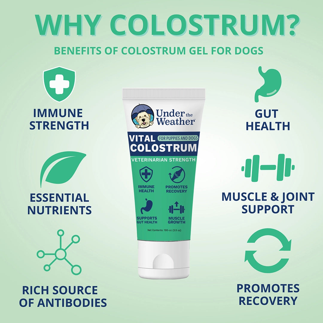 Under the Weather Colostrum Gel Squeezable for Dogs 30cc