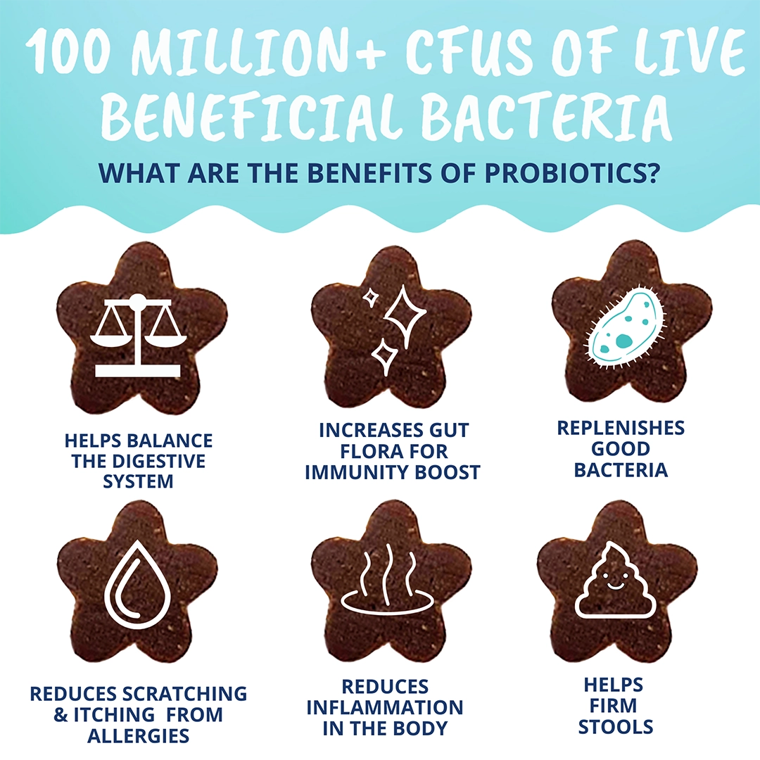 Under the Weather Cat Probiotic Chews 60 ct.