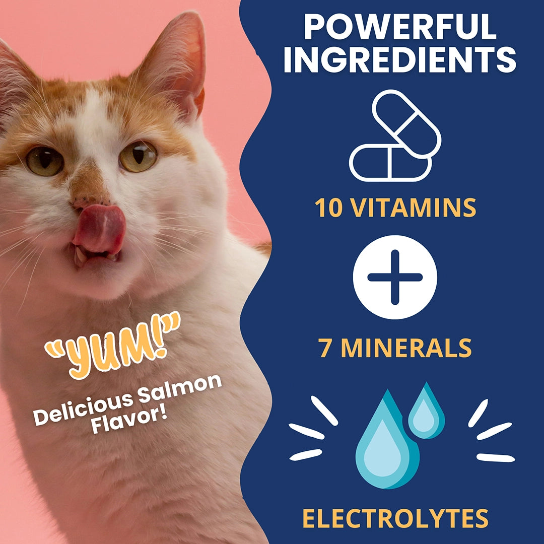 Under the Weather Ready Cal Plus w Electrolytes Squeezable for Cats 3.5oz