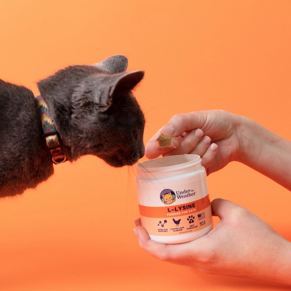 Under the Weather L-Lysine Powder for Cats 2.54oz