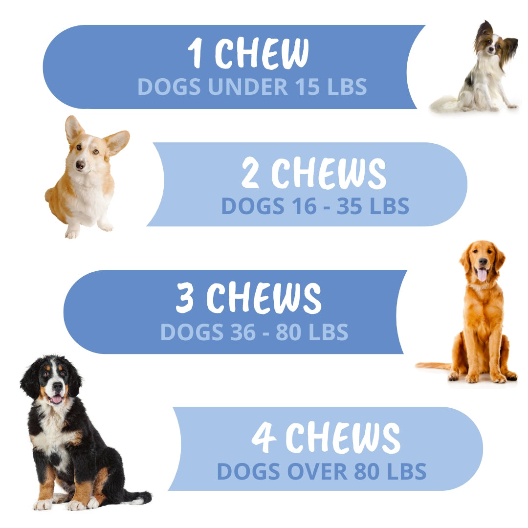Under the Weather Disc & Spine Soft Chew 60ct.
