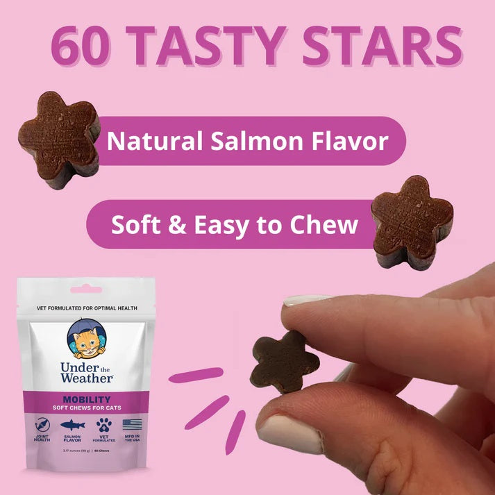 Under the Weather Mobility Chews for Cats