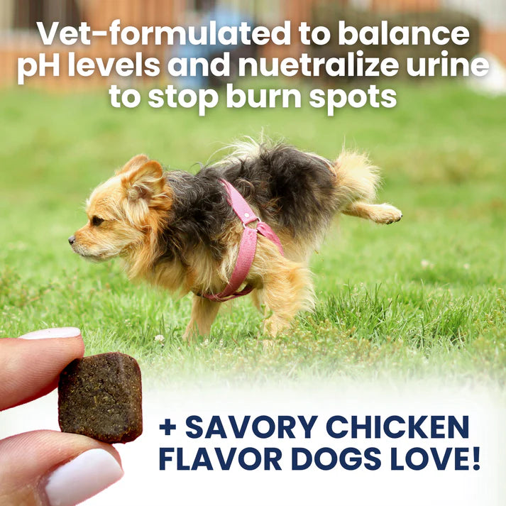 Under the Weather Nice Grass Soft Chew 60ct