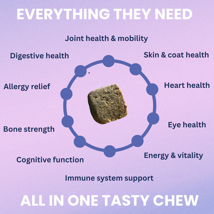 Under the Weather Multivitamin Soft Chew 60ct