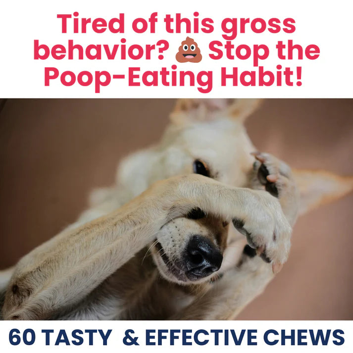 Under the Weather Coprophagia - No Poop Eating Soft Chew 60ct