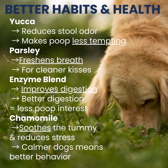 Under the Weather Coprophagia - No Poop Eating Soft Chew 60ct