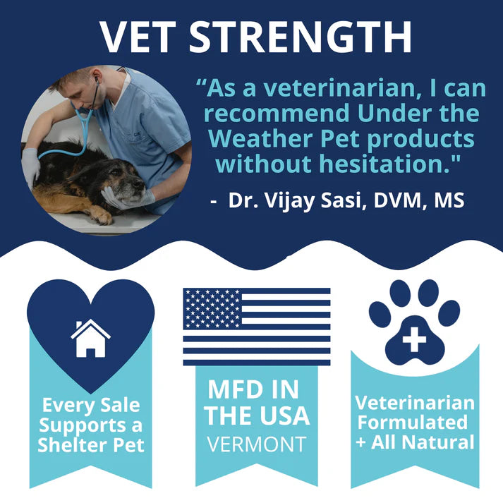 Under the Weather Allergy & Itch Soft Chew 60ct