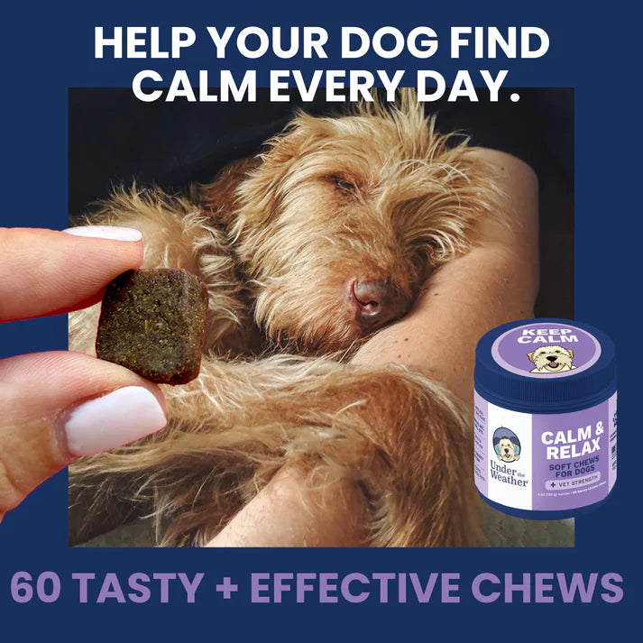 Under the Weather Calming Soft Chew 60ct
