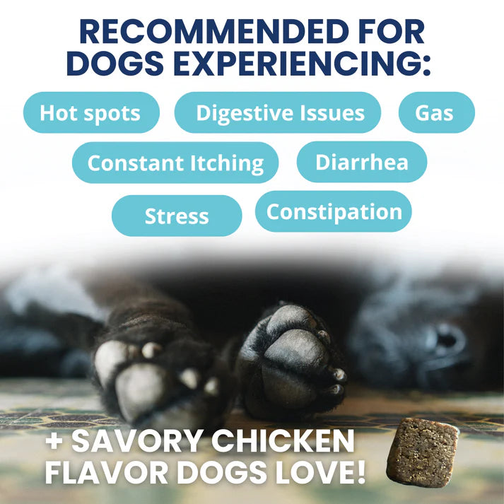 Under the Weather Probiotic Soft Chew 60ct