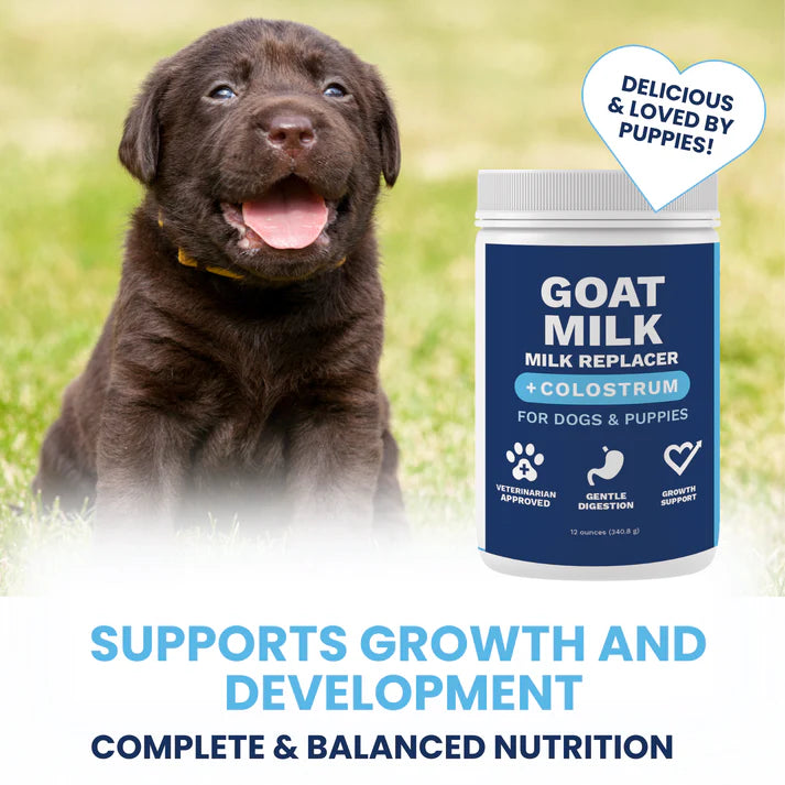 Under the Weather Milk Replacer w Colostrum & Goat - Puppy