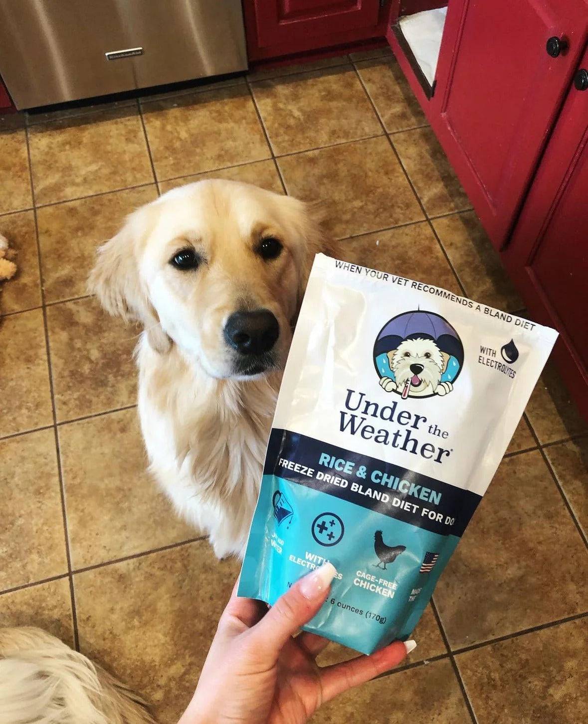 Under the Weather