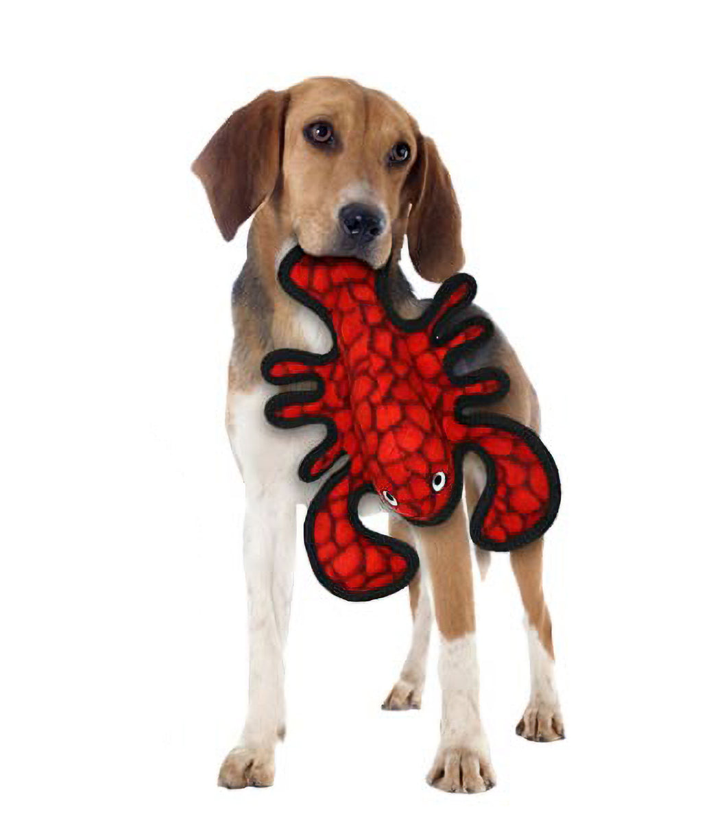 VIP Ocean Larry Lobster