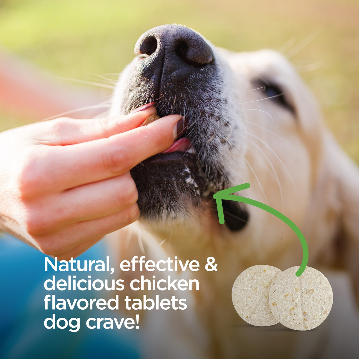 Vetality Naturals Oral Flea & Tick Chews for Dogs 120 ct