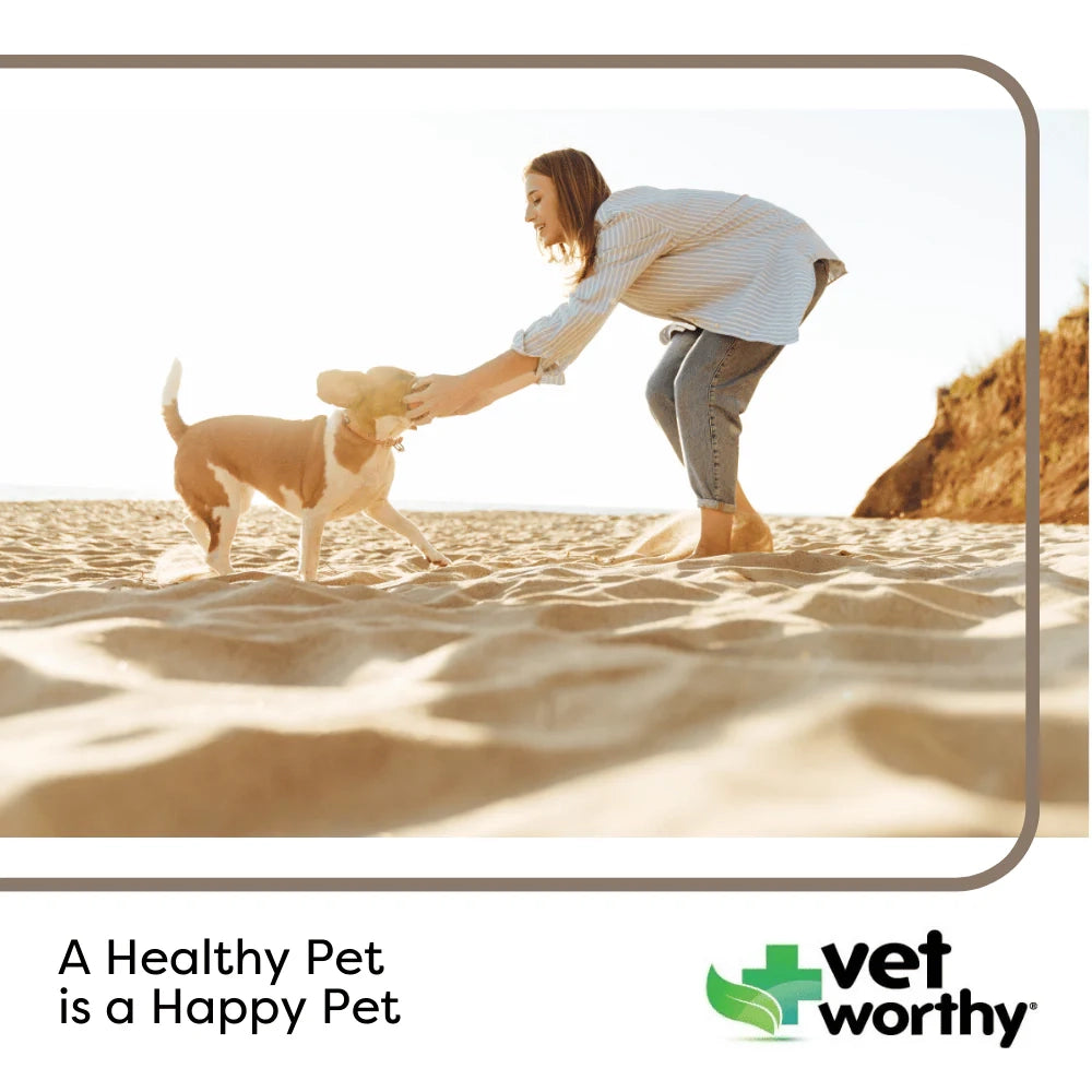 Vet Worthy Calming Soft Chews 60ct