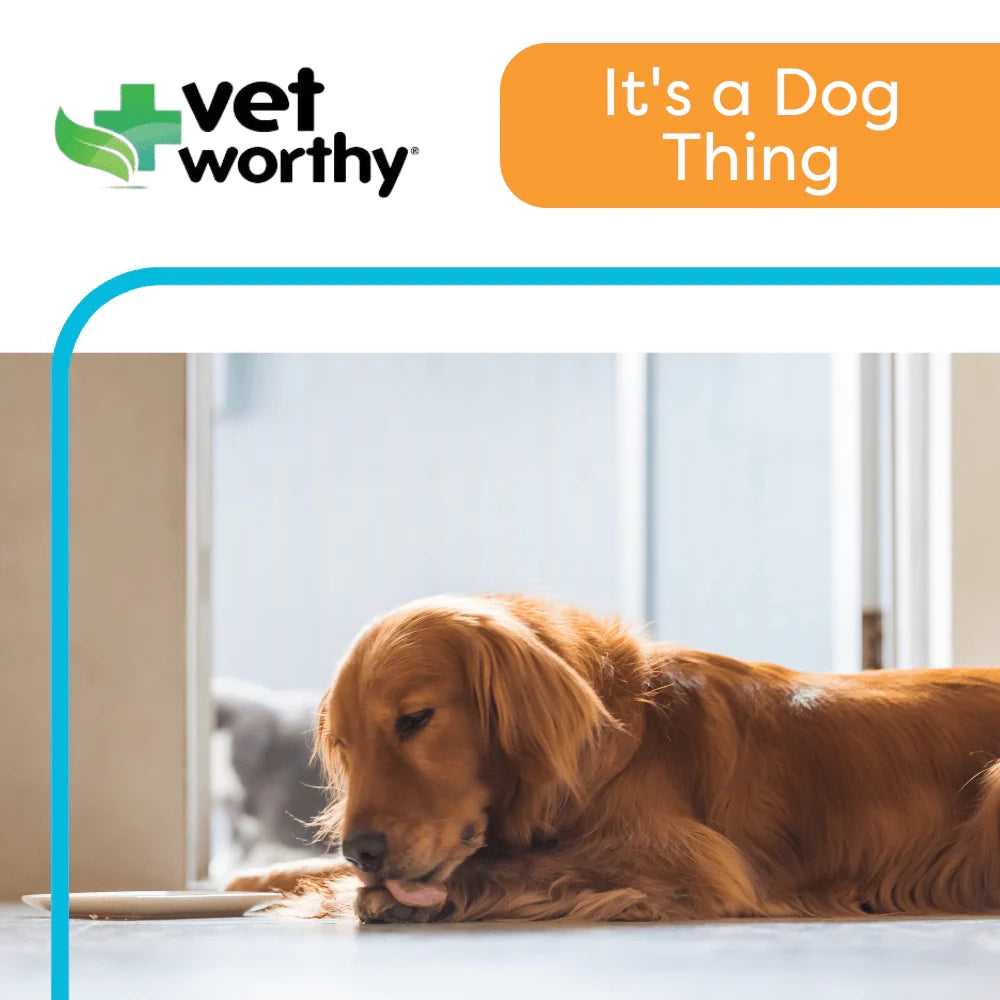 Vet Worthy Brewer's Yeast Tablets 300ct