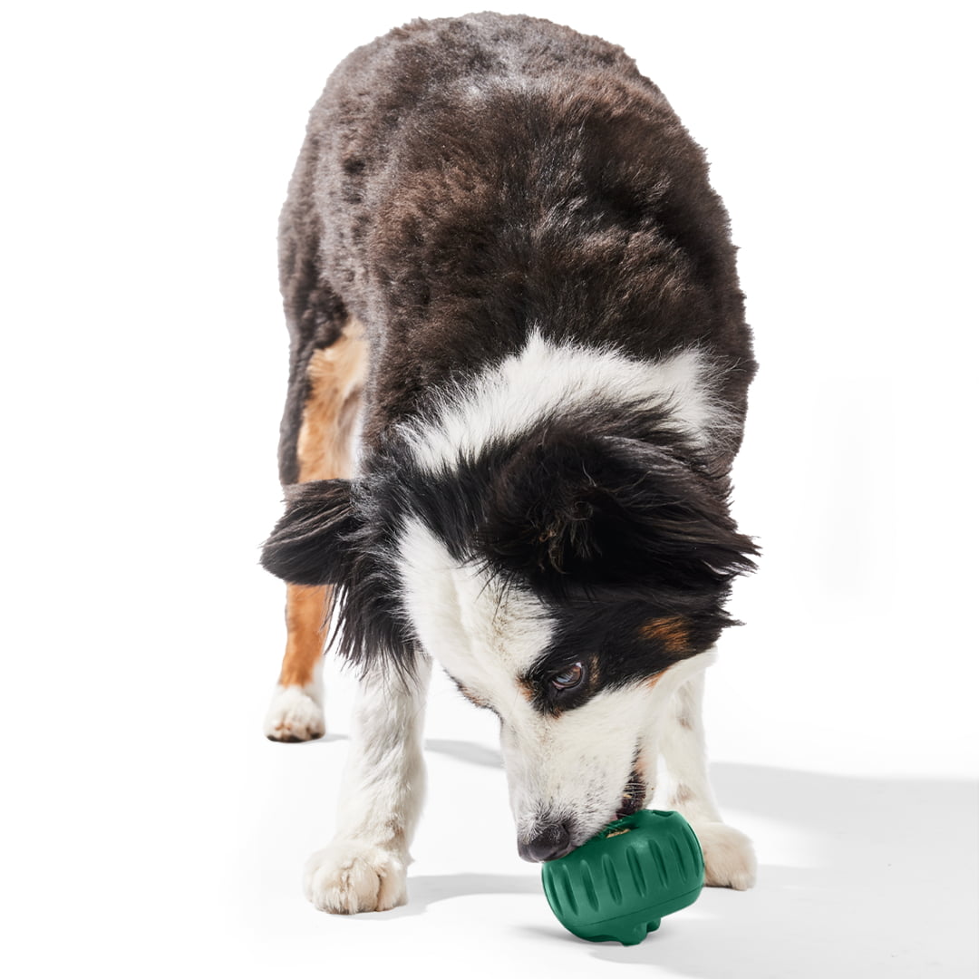 WOOF Pupsicle Green Large