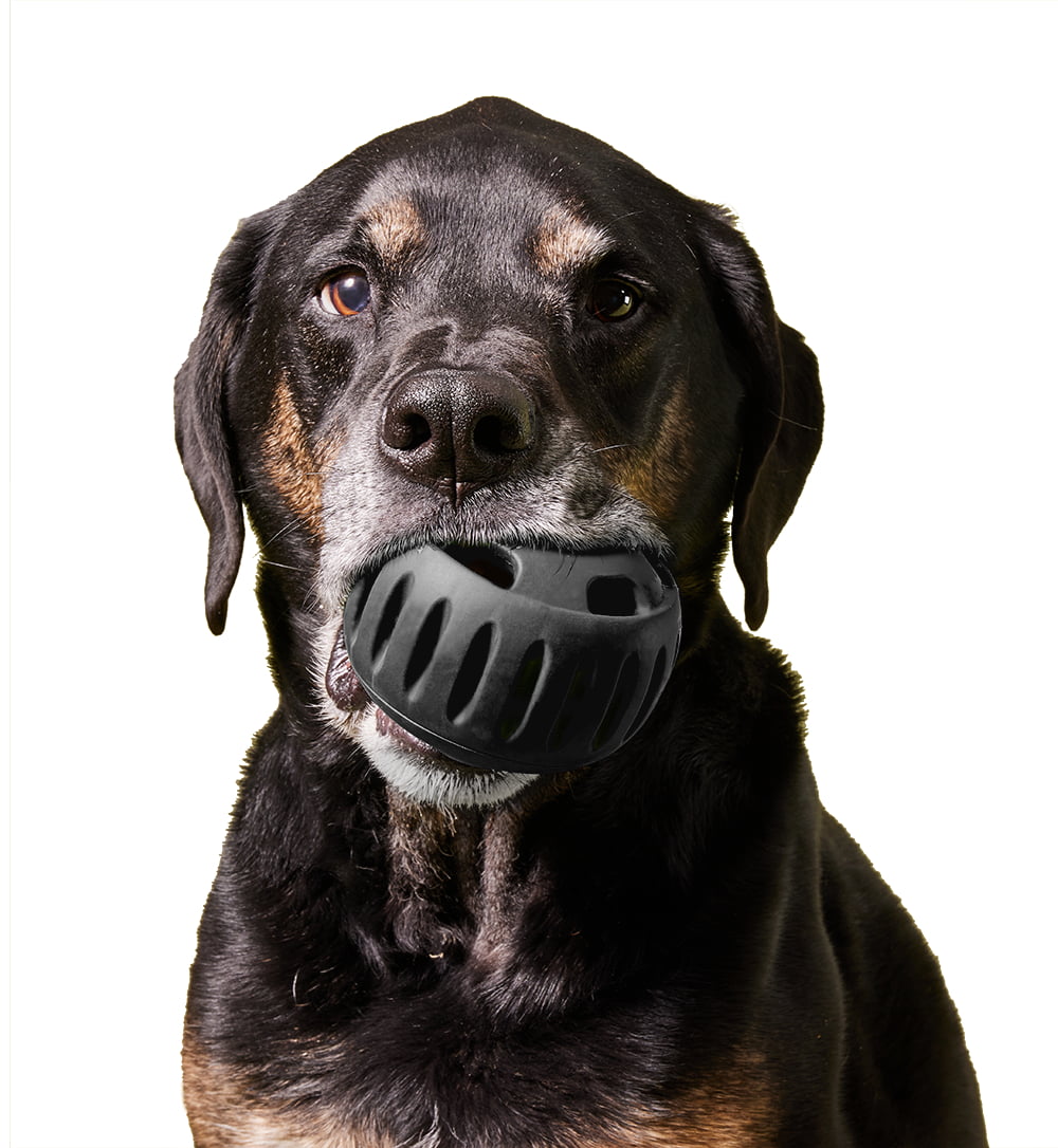 WOOF Pupsicle 'Power Chewer' Black Large