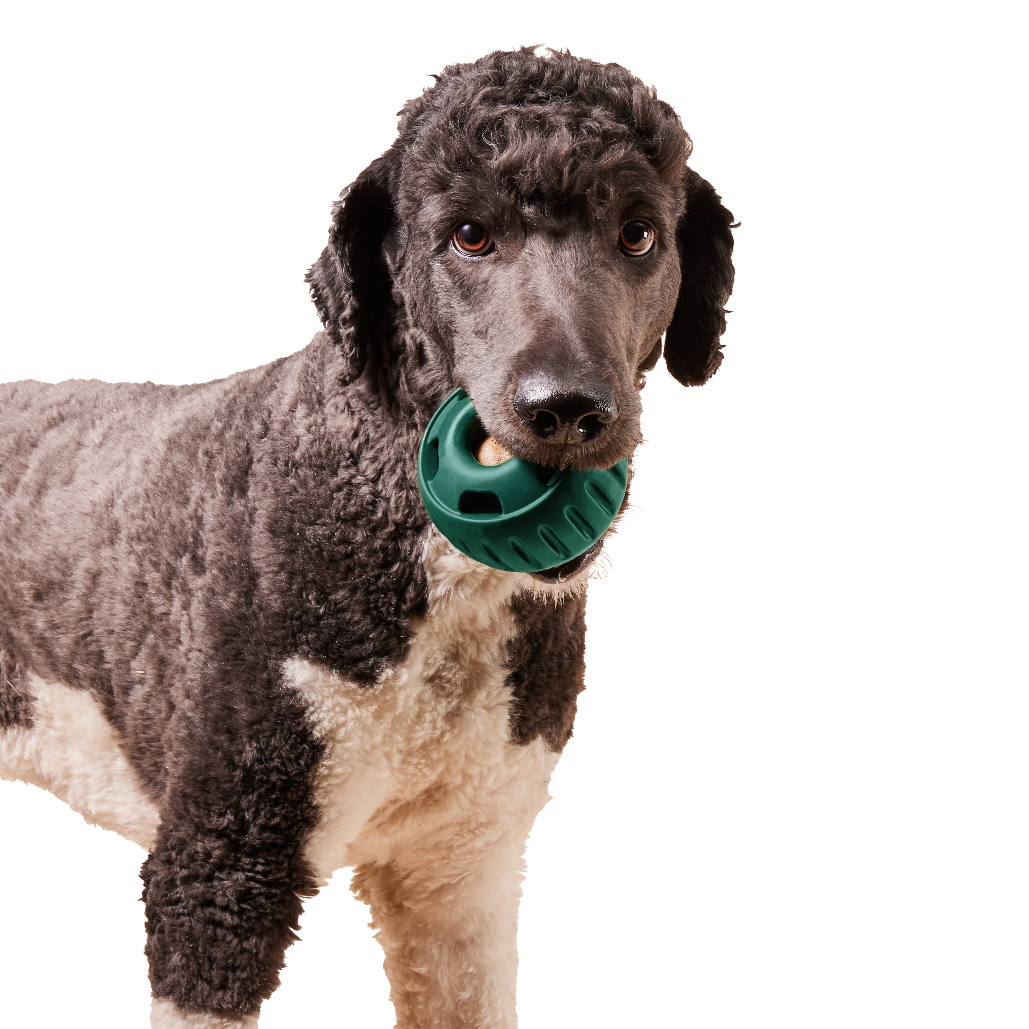 WOOF Pupsicle Green XL