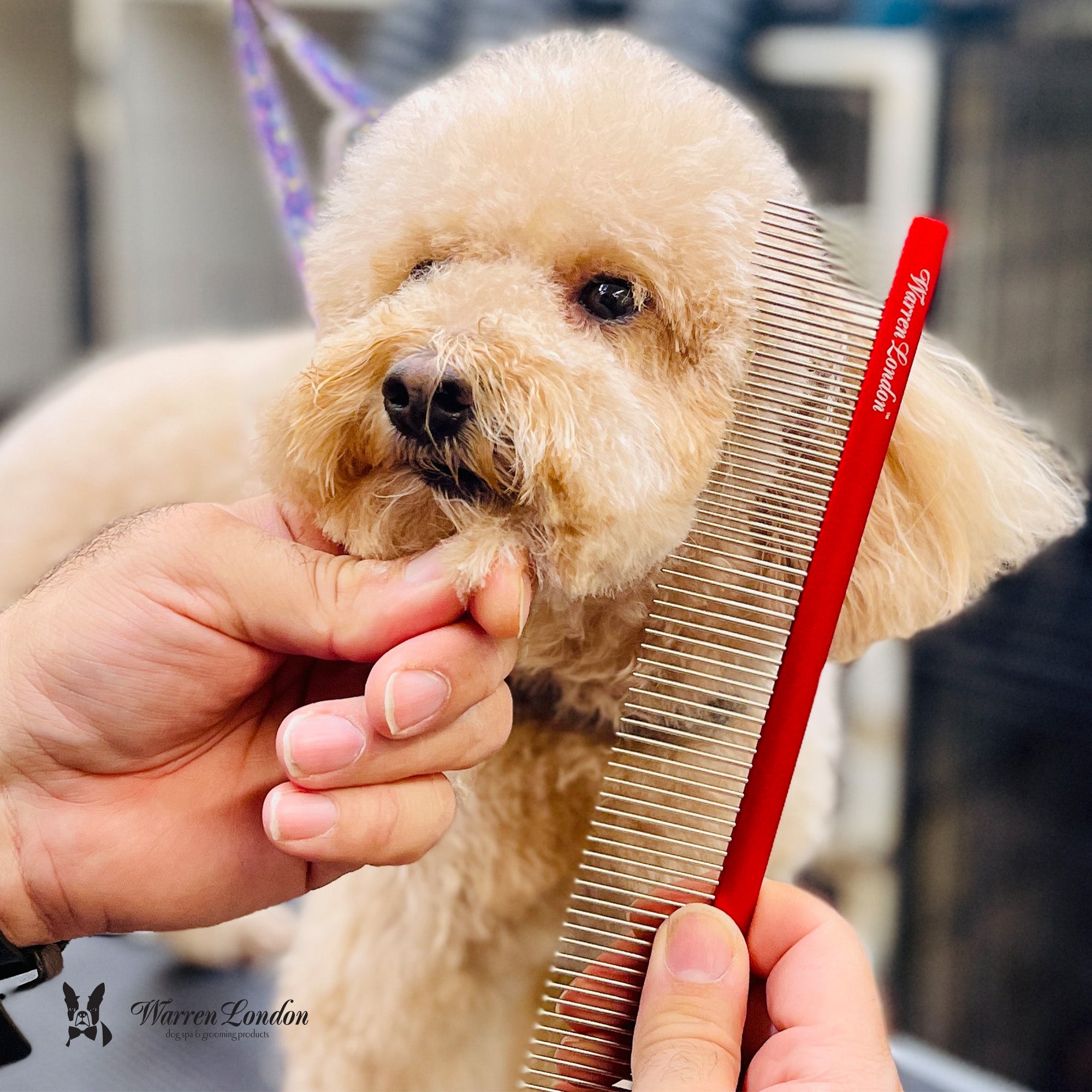 Warren London Detangling Strong Comb