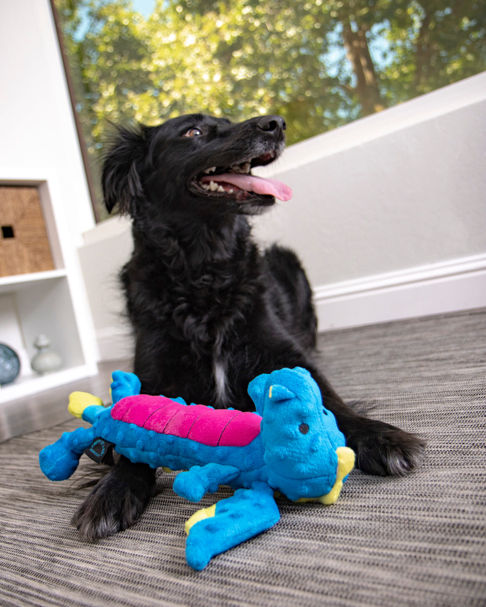 goDog Dragons Skinny Squeaky Plush Dog Toy Large