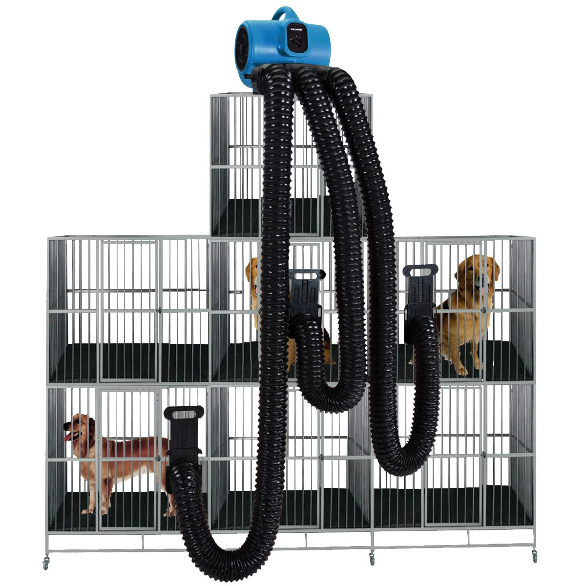 XPOWER X-430TF-MDK Professional 3 Speed Pet Grooming Dog Cage Dryer with Multi Drying Hose Kit, Timer & Filters