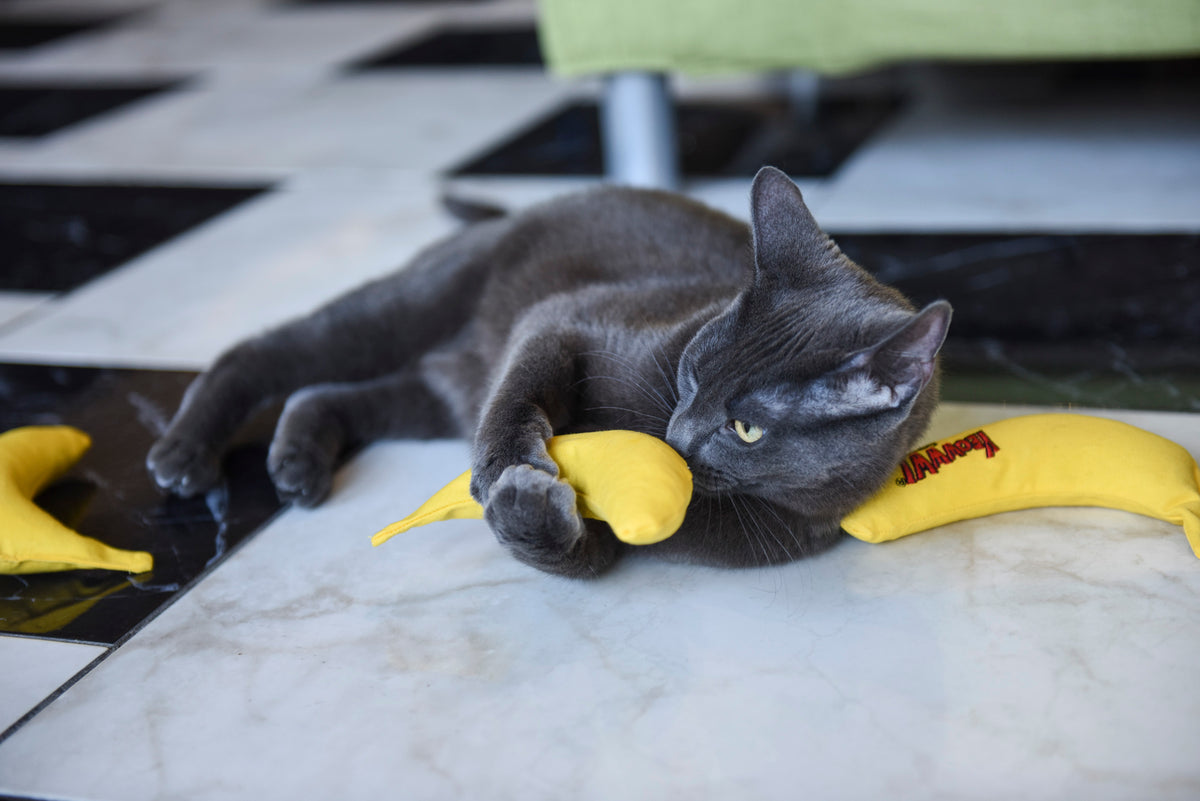 Yeowww! Bananas singles