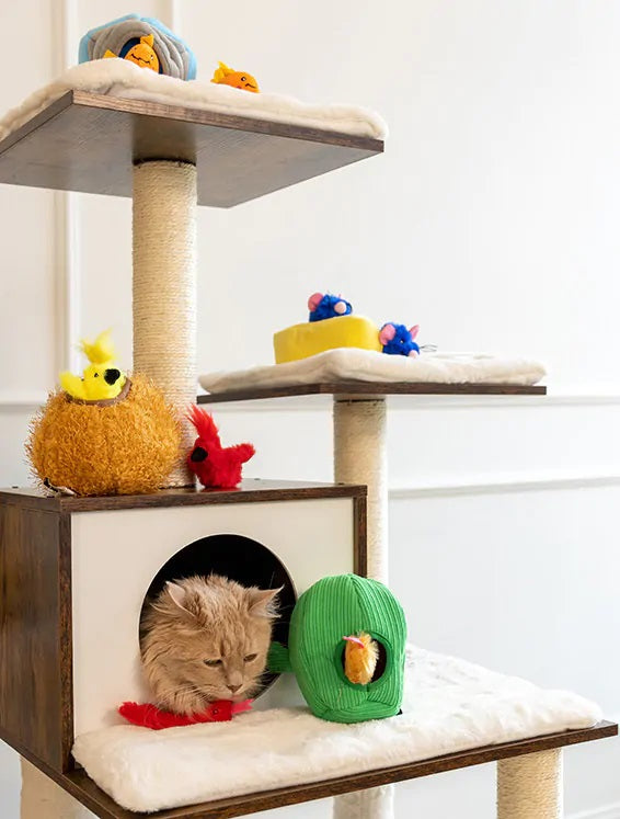 ZippyClaws Burrow - Birds in Nest